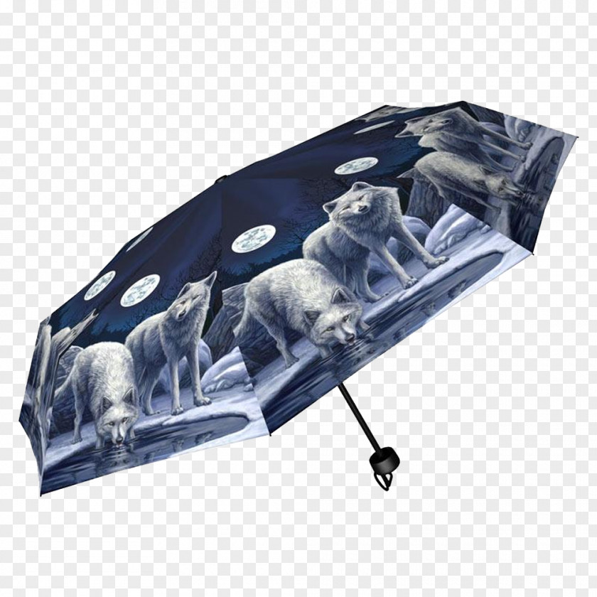 Umbrella Handbag Clothing Accessories Zipper PNG
