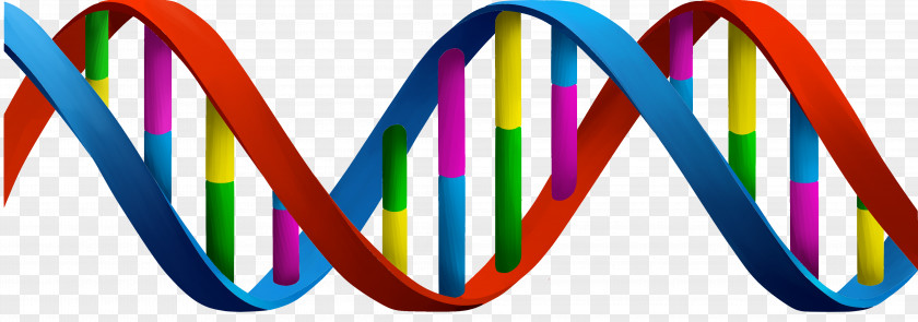 Dna Background A-DNA Clip Art Nucleic Acid Double Helix PNG