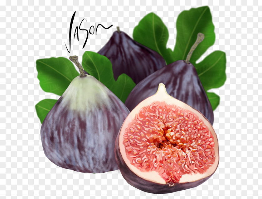 Fig Fruit Common Food Forbidden Leaf PNG