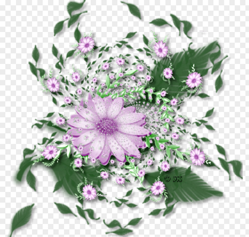 Flower Floral Design Cut Flowers Clip Art PNG