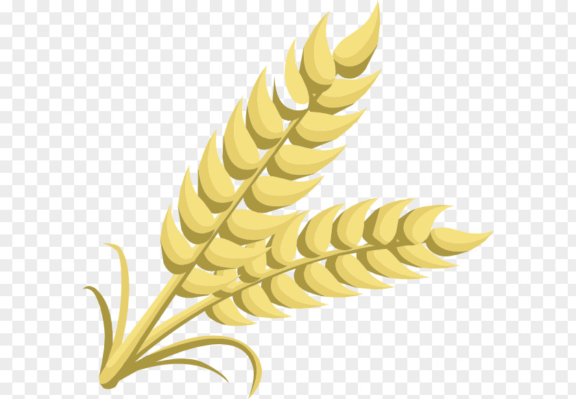 Grains Grain Cereal Wheat Clip Art PNG