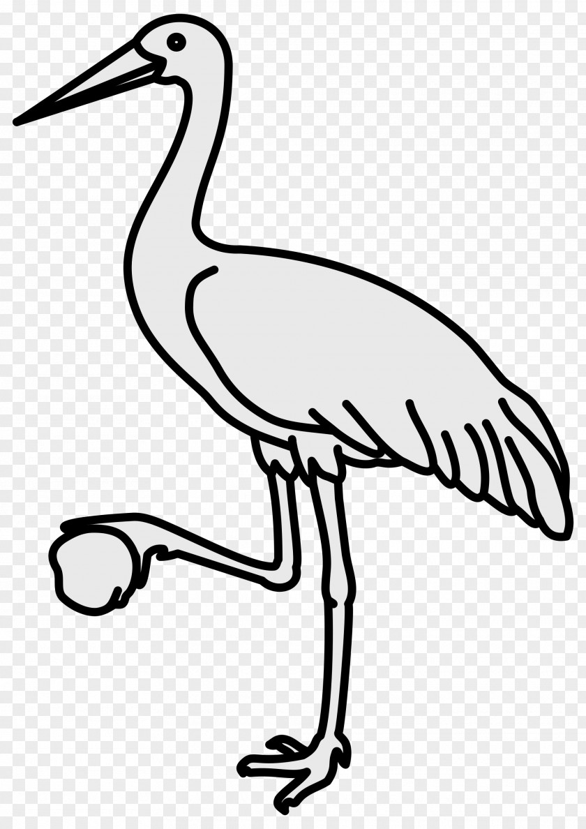 Kiwi Bird Crane Line Art Drawing Clip PNG