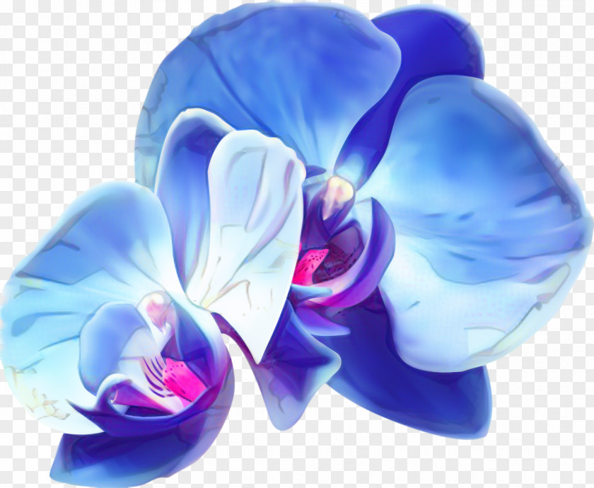 Sweet Peas Butterfly Blue Iris Flower PNG