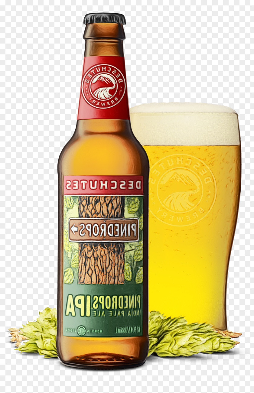 Alcohol Apple Beer Wheat Cartoon PNG