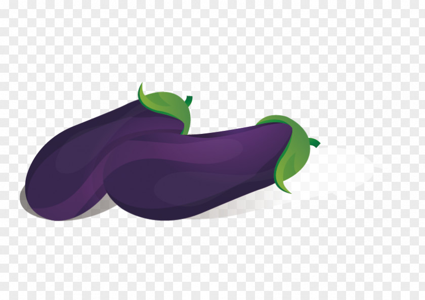 Eggplant Vector Green PNG