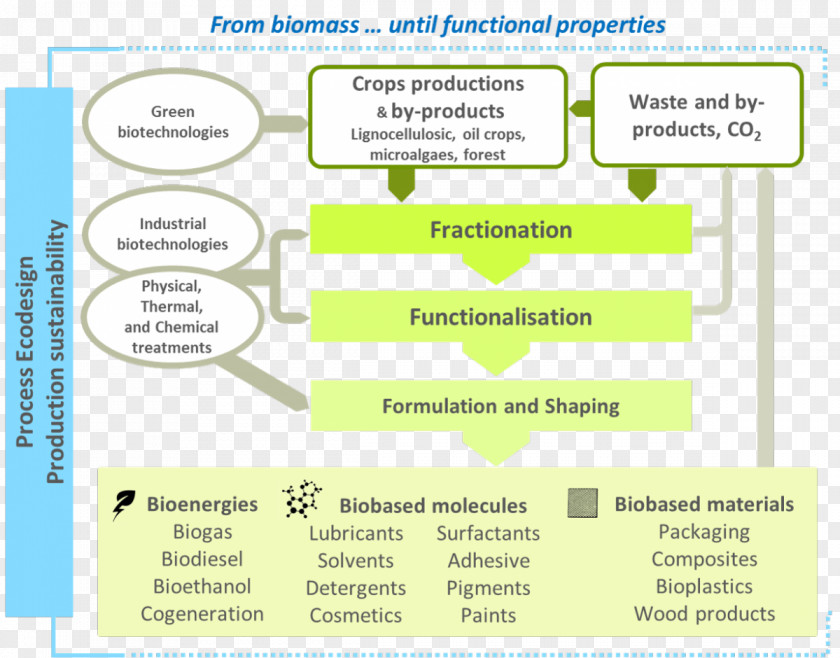 Toxalim Inra Laboratory Biomass Biorefinery Biotechnology Bioenergy Bioproducts PNG