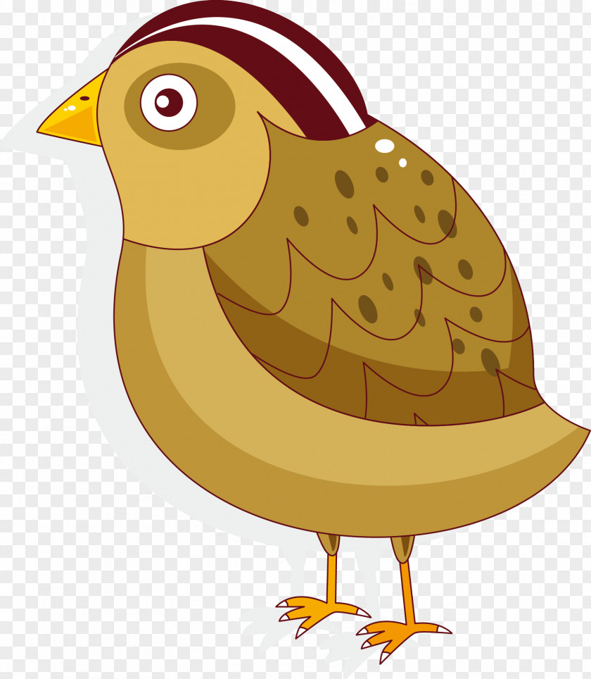 Vector Chick Bird Rooster Clip Art PNG