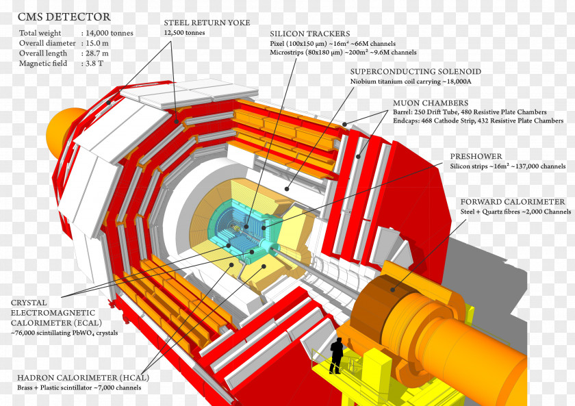 Web Layout Compact Muon Solenoid CERN ATLAS Experiment Large Hadron Collider Higgs Boson PNG