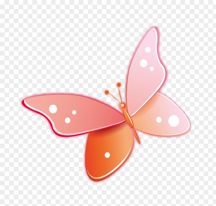 Butterfly Clip Art PNG