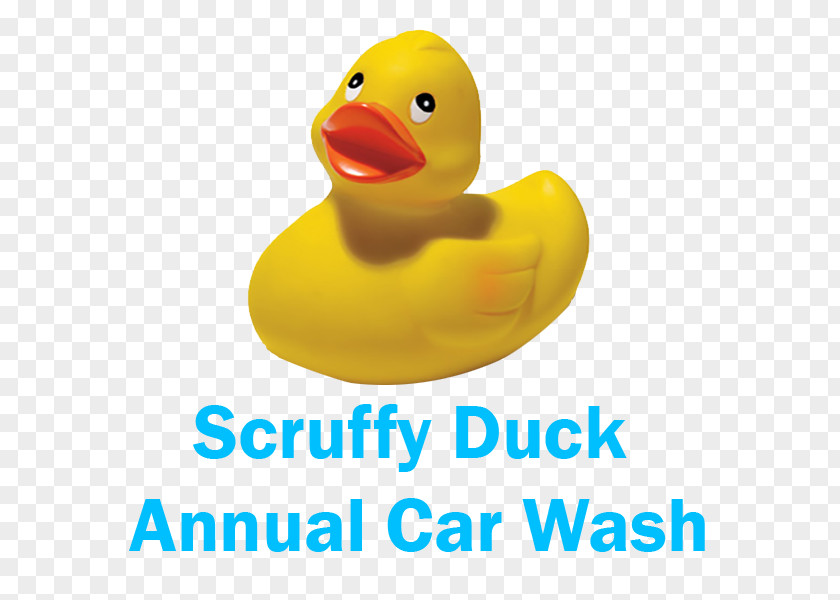 Car Wash Fundraising Rubber Duck Debugging Natural Toy PNG