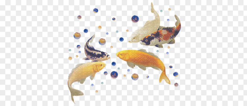 Fish Desktop Wallpaper PNG