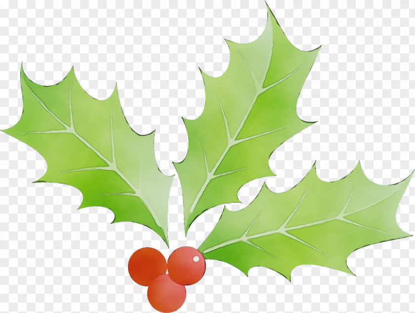 Flower Maple Leaf PNG