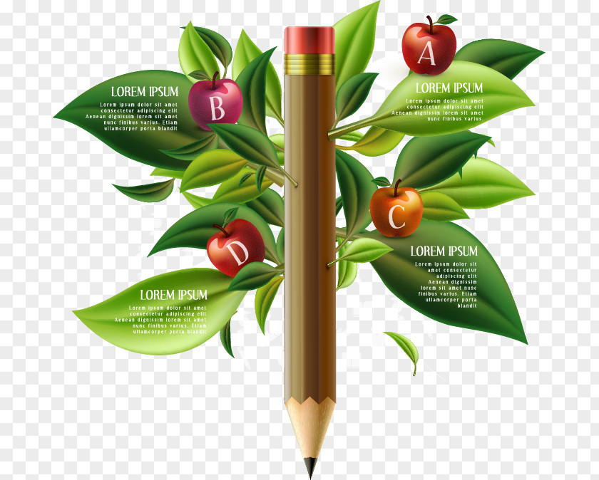 Pencil Vector Chart Infographic Graphic Design Template PNG