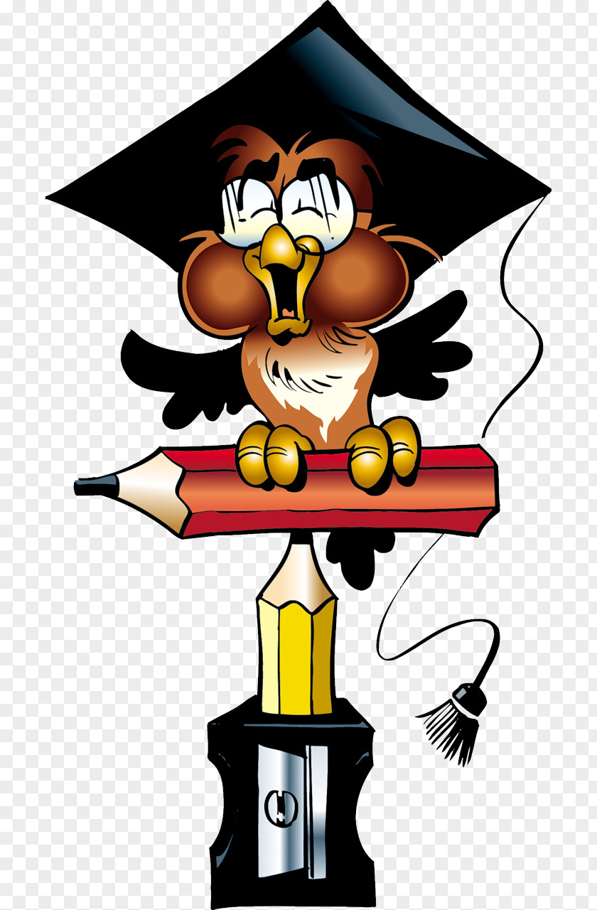 School Little Owl PNG