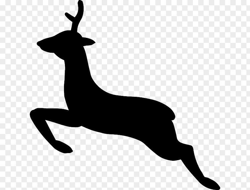 Vector Woods White-tailed Deer Reindeer Moose Clip Art PNG