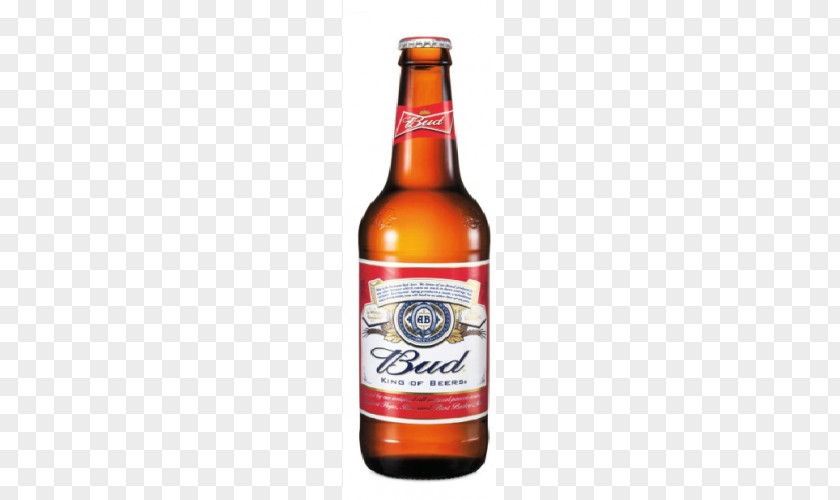Beer Ginger Brewery Delirium Tremens Ale PNG