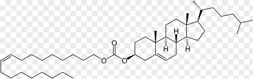 Cholesteryl Nonanoate Cholesterol Benzoate Steroid Lipid PNG