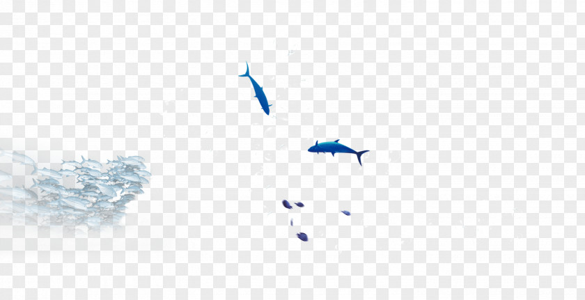 A Variety Of Fish That Swim Under The Sea Blue Pattern PNG