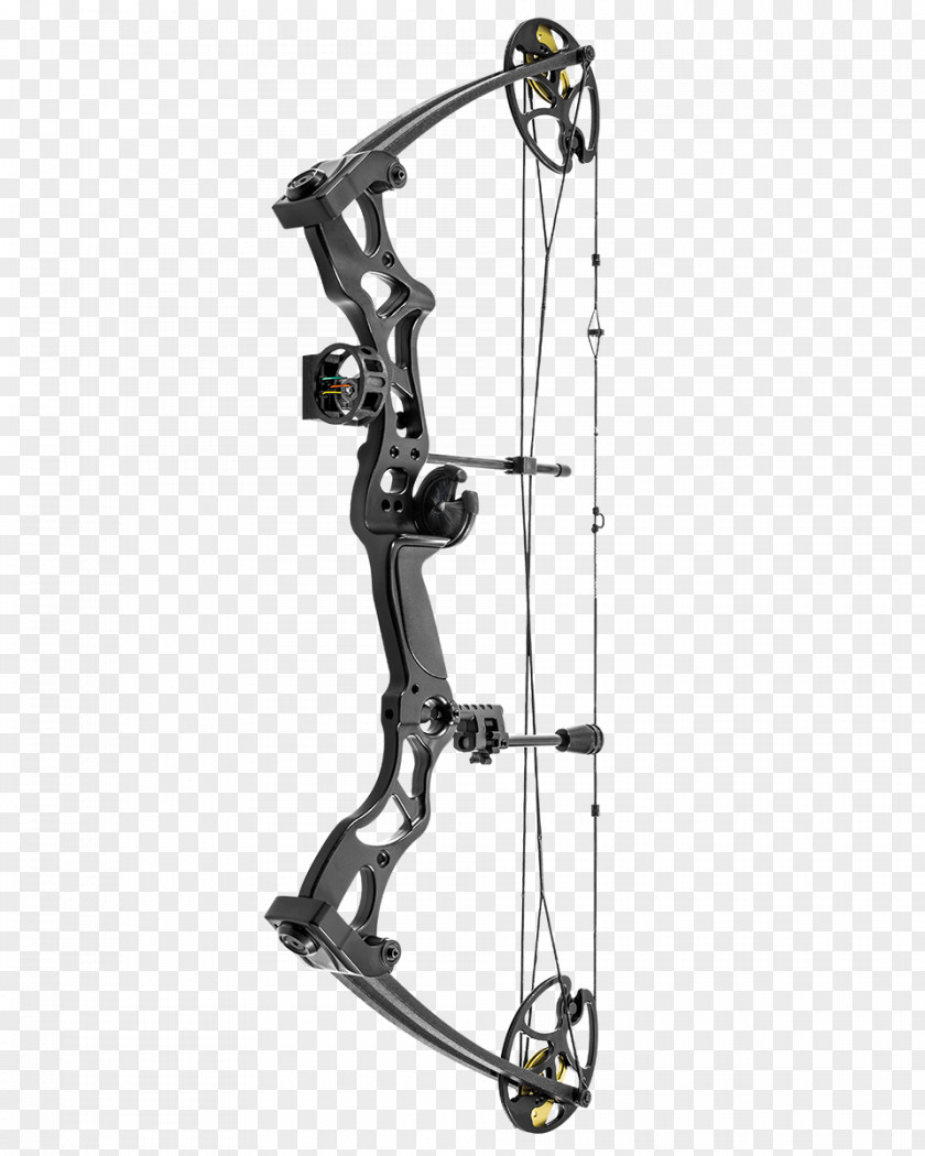 Archery Compound Bows Bow And Arrow Recurve PNG