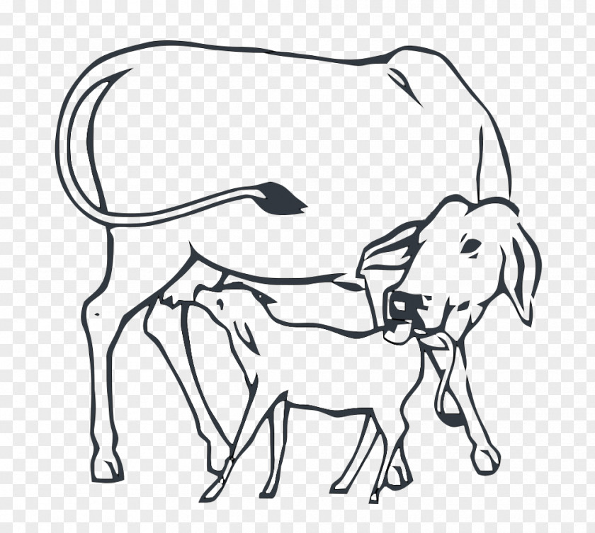 Cow Cattle Cow-calf Operation India Drawing PNG