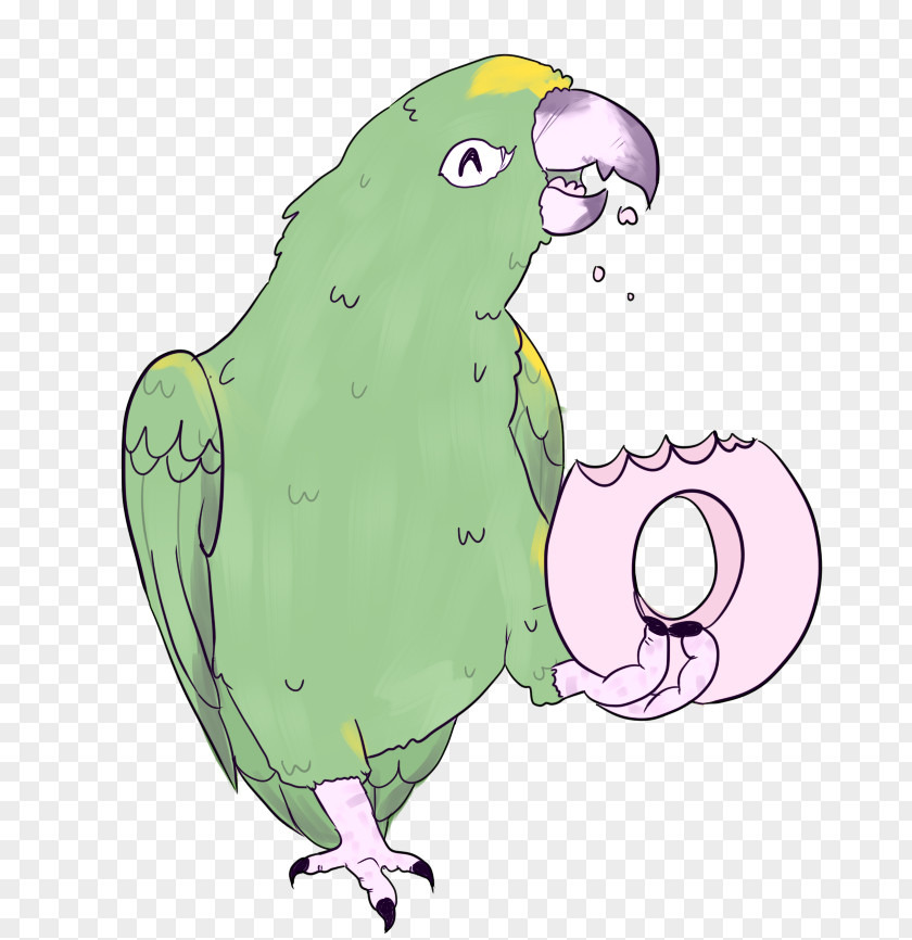 Feather Macaw Parakeet Beak Clip Art PNG