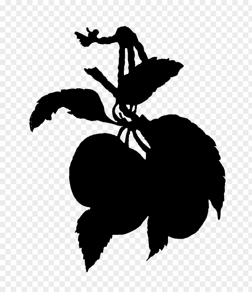 Fruit Twig Black And White Flower PNG