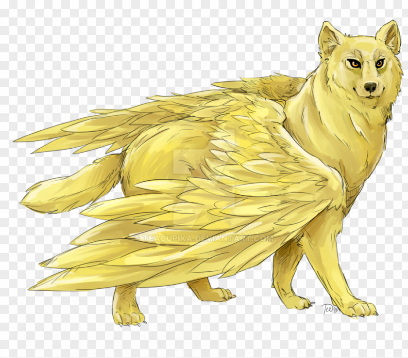 Golden Retriever Goldendoodle African Wolf Drawing Fox PNG