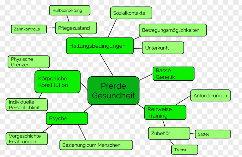 Mental Map Horse Trainer Mind Organization Diagram PNG