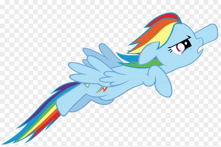 My Little Pony Rarity Rainbow Dash Princess Celestia Sonic Rainboom PNG