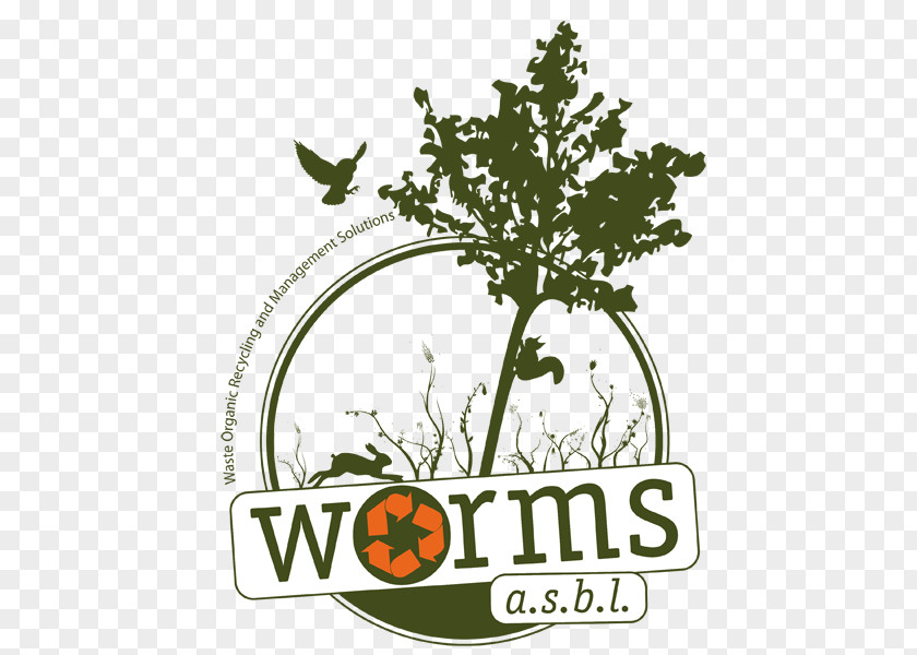 Organic Trash WORMS Asbl Compostage Waste PNG