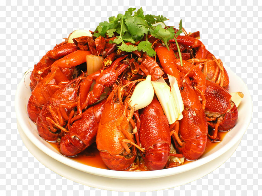 Spicy Lobster Xuyi County Palinurus Elephas Chinese Cuisine Pungency Mala Sauce PNG