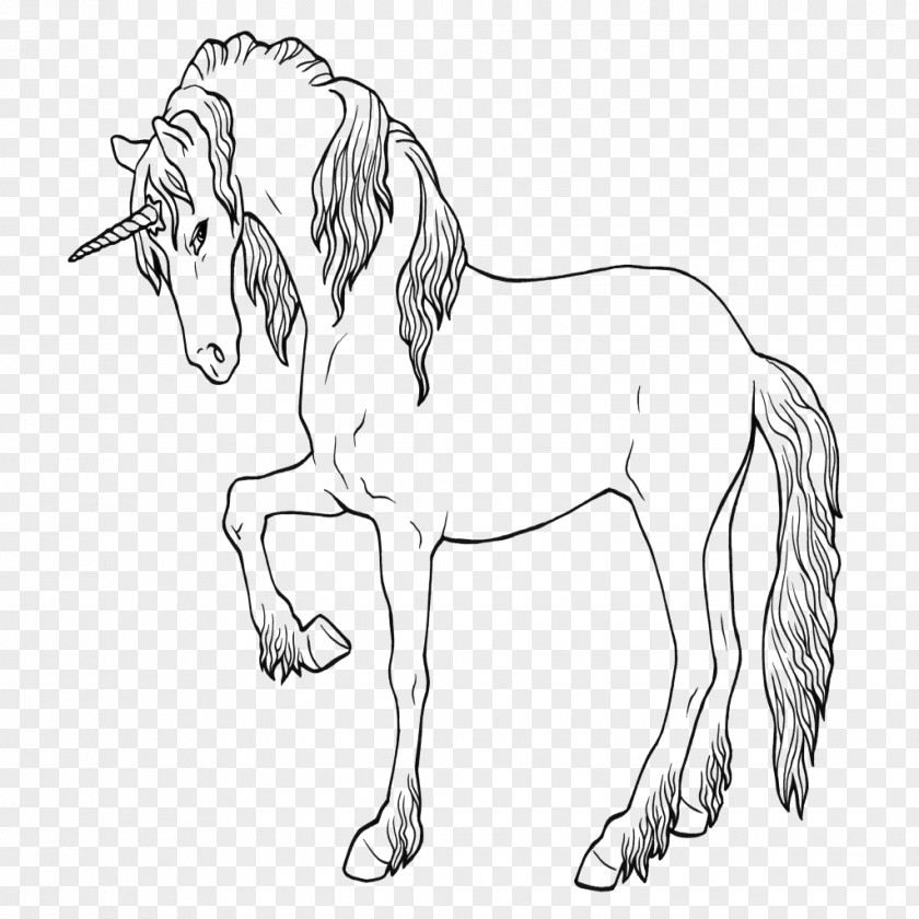 Unicorn Ausmalbild Drawing Coloring Book Dibujo De Animales PNG