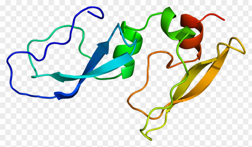 Alpha-1-microglobulin/bikunin Precursor Beta-2 Microglobulin Protein Inter-alpha-trypsin Inhibitor PNG