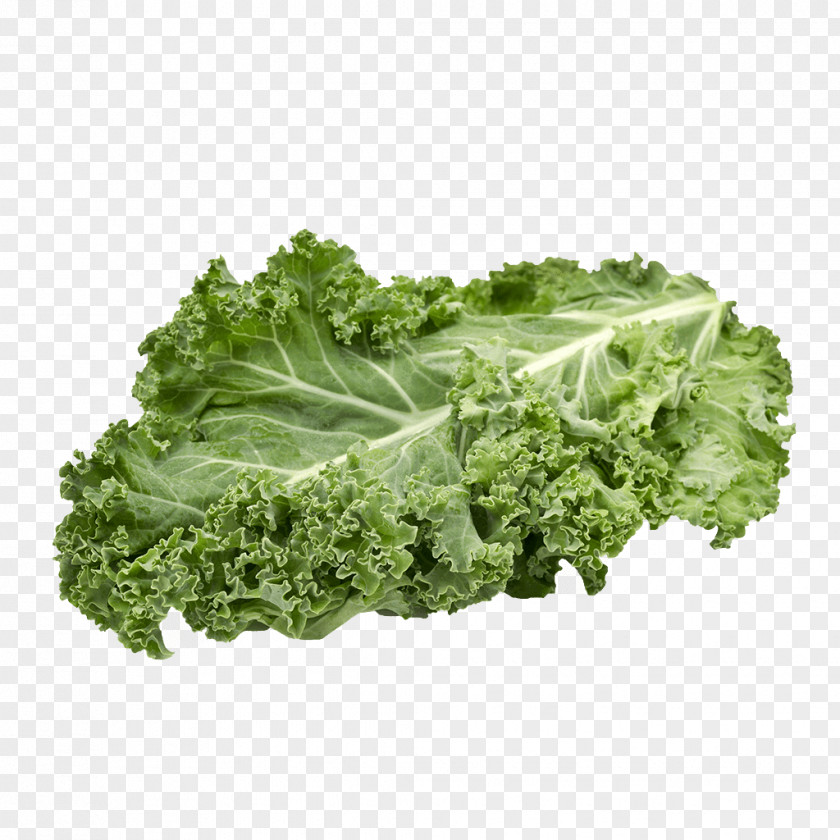 Kale Lettuce Curly Cabbage Stock Photography Image PNG