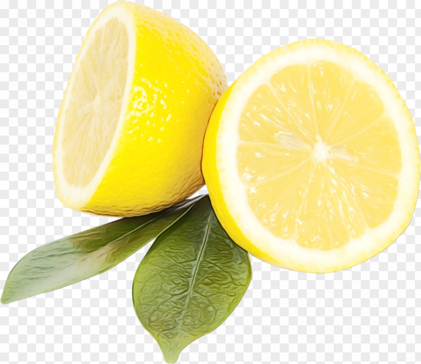Key Lime Pomelo Cartoon Lemon PNG