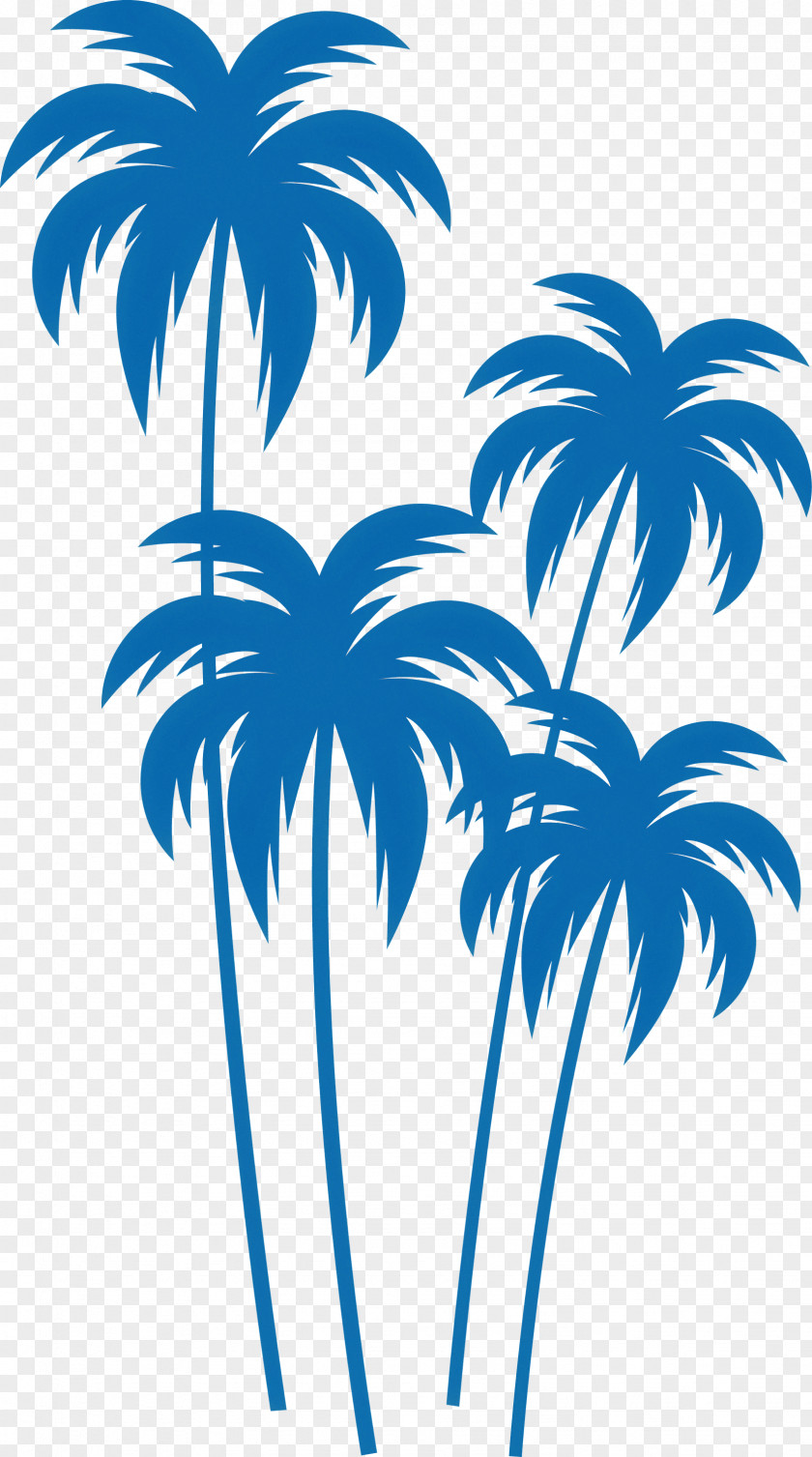 Palm Trees PNG