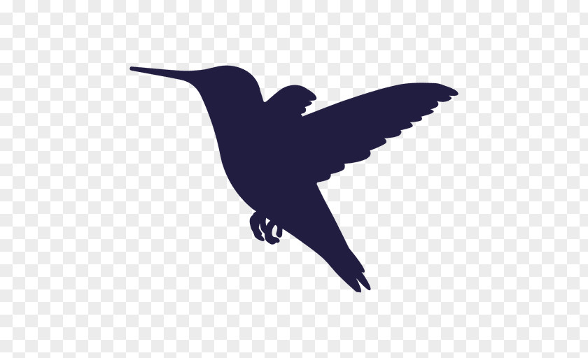 Silhouette Hummingbird Drawing PNG