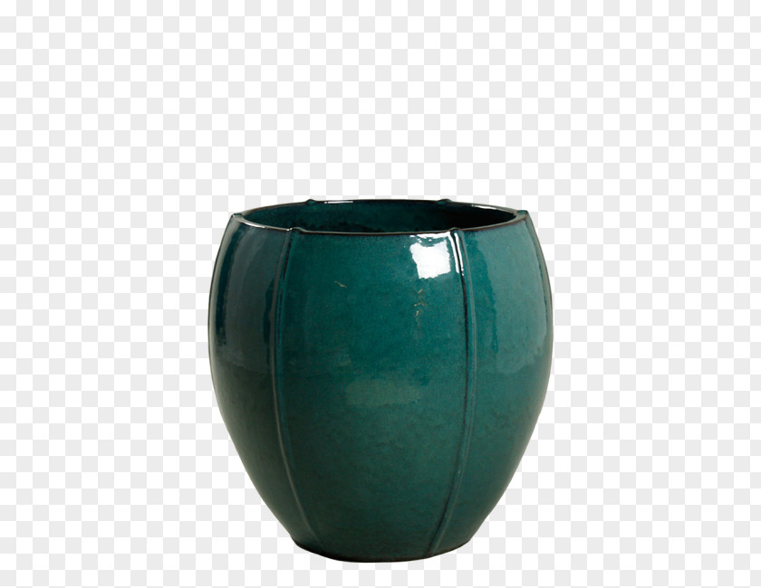 Vase Ceramic Plant PNG