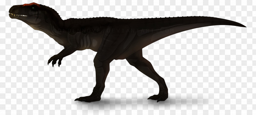 Jurassic Park Velociraptor Carcharodontosaurus Park: Operation Genesis Tyrannosaurus Dinosaur PNG