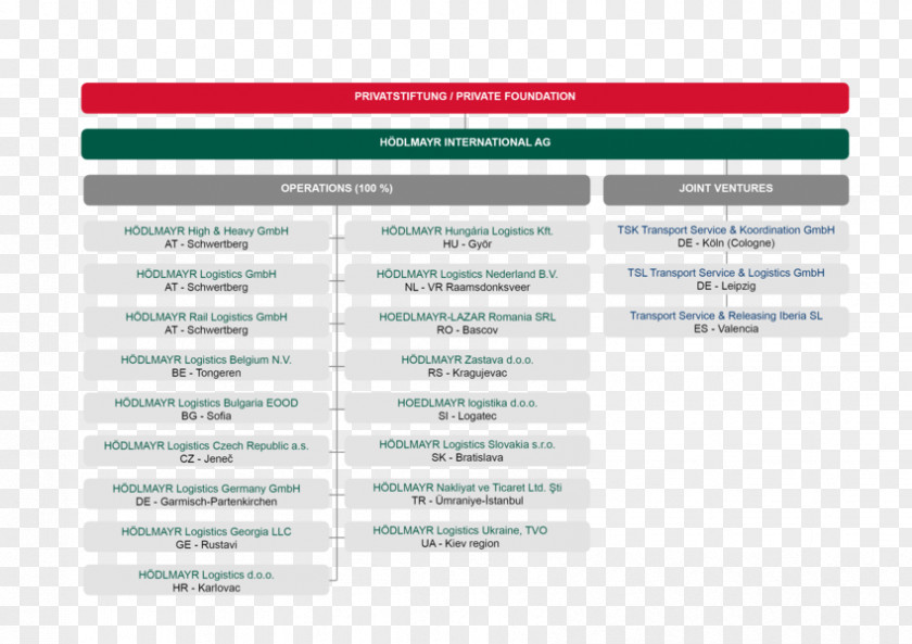 Organisationsstruktur Hödlmayr International AG Organization Business Board Of Directors Chief Executive PNG