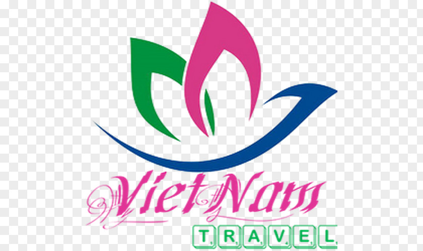Travel Ho Chi Minh City Hanoi Hạ Long Tourism PNG