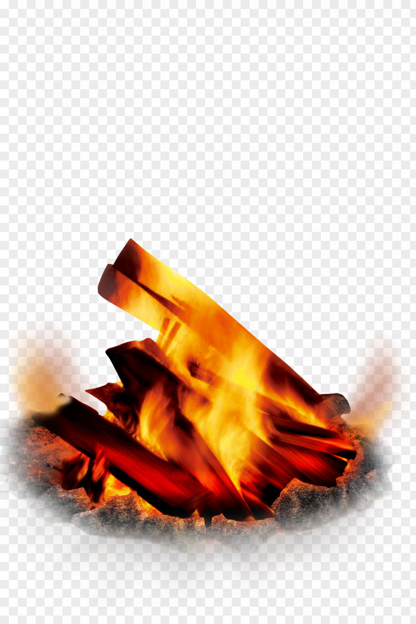 Campfire Pictures Flame Bonfire PNG