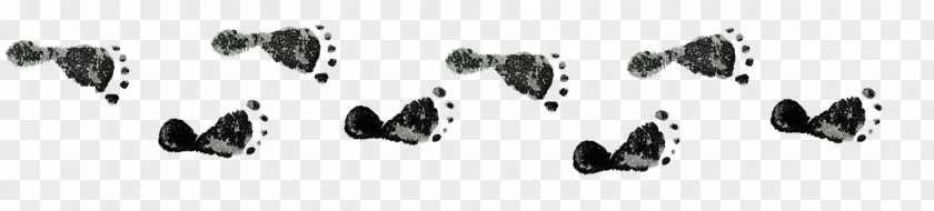 Footprints Shoe Information PNG