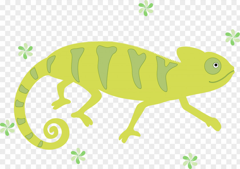 Frogs Lizards Chameleons Cartoon Green PNG