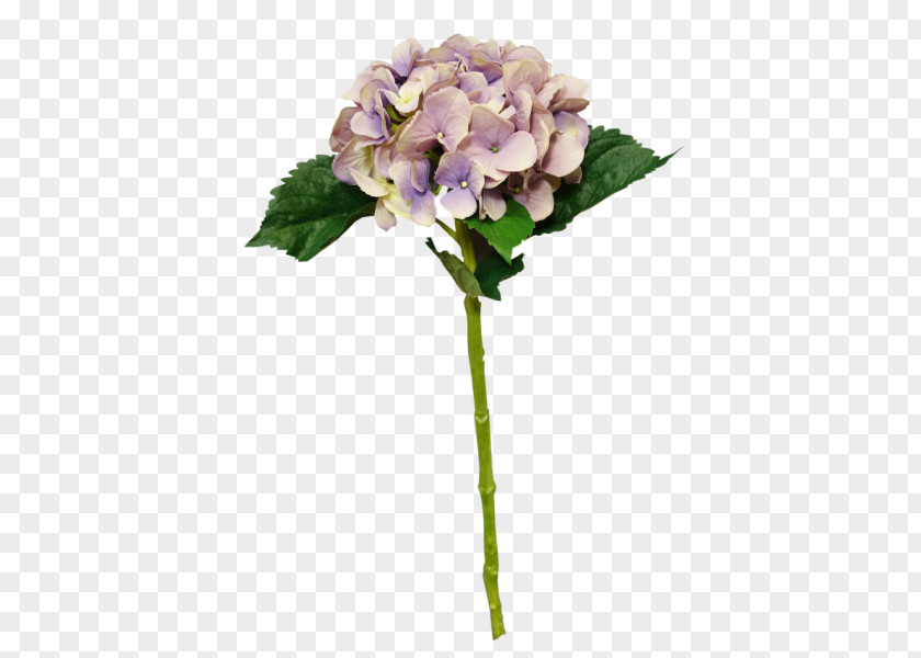 Hydrangea Bouquet Cut Flowers Plant Stem PNG