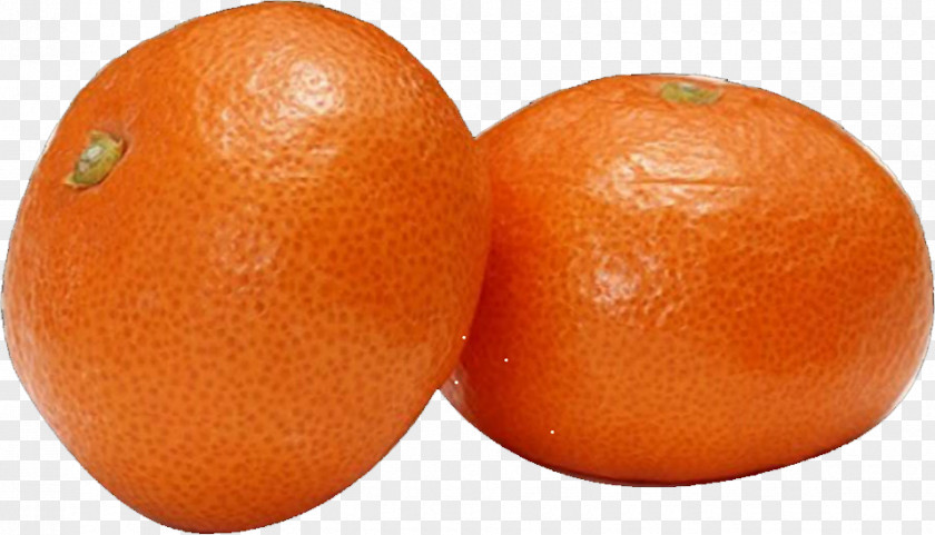 Orange Clementine Blood Mandarin Tangerine Grapefruit PNG