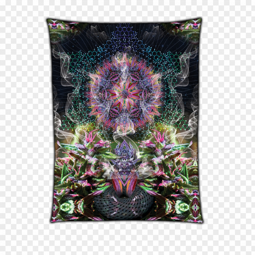 Pineal Cushion PNG