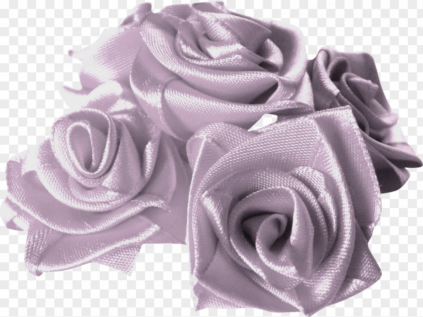 Rose Garden Roses Pink M Cut Flowers Petal PNG