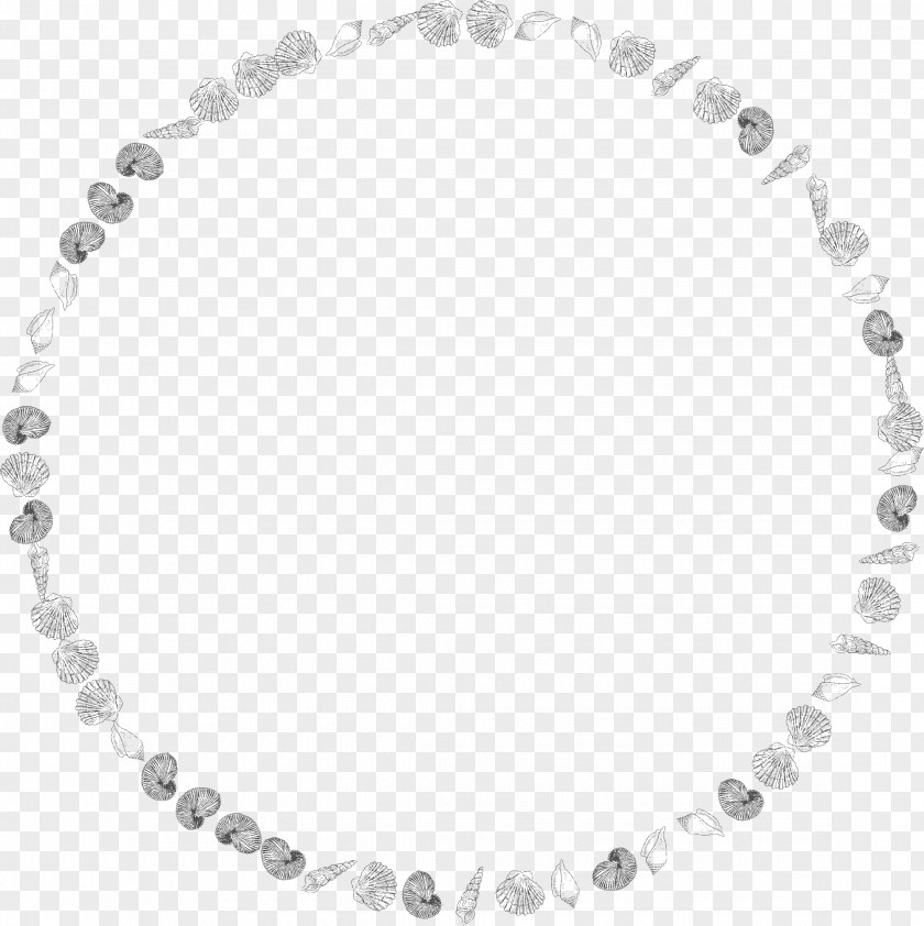 Round Frame Seashell Picture Frames Clip Art PNG