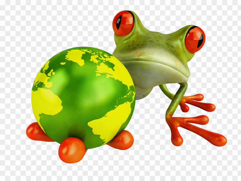 Toad Redeyed Tree Frog Agalychnis Green PNG